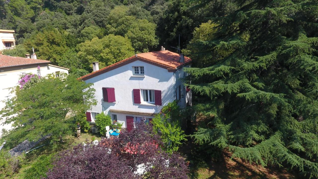 Villa Riviera Chambres Privees Amélie-les-Bains-Palalda Zewnętrze zdjęcie