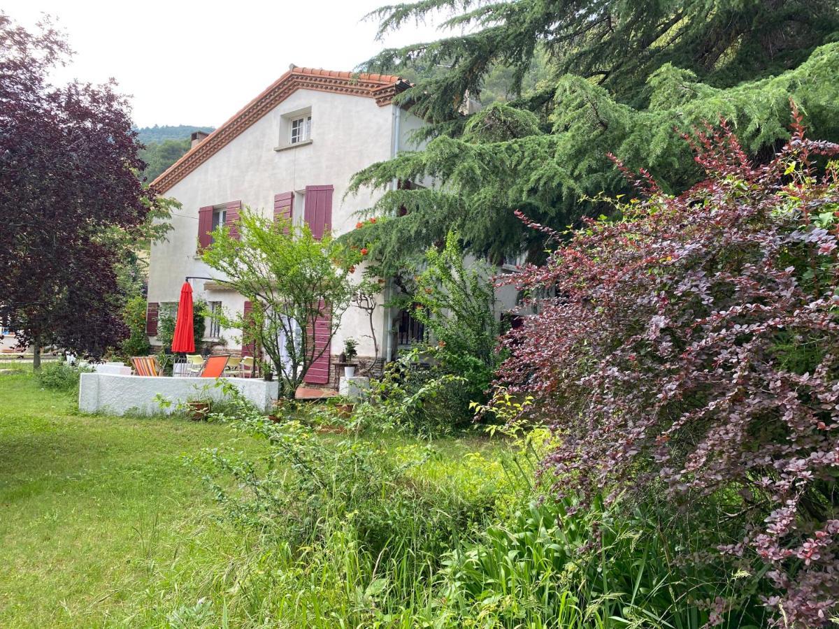 Villa Riviera Chambres Privees Amélie-les-Bains-Palalda Zewnętrze zdjęcie